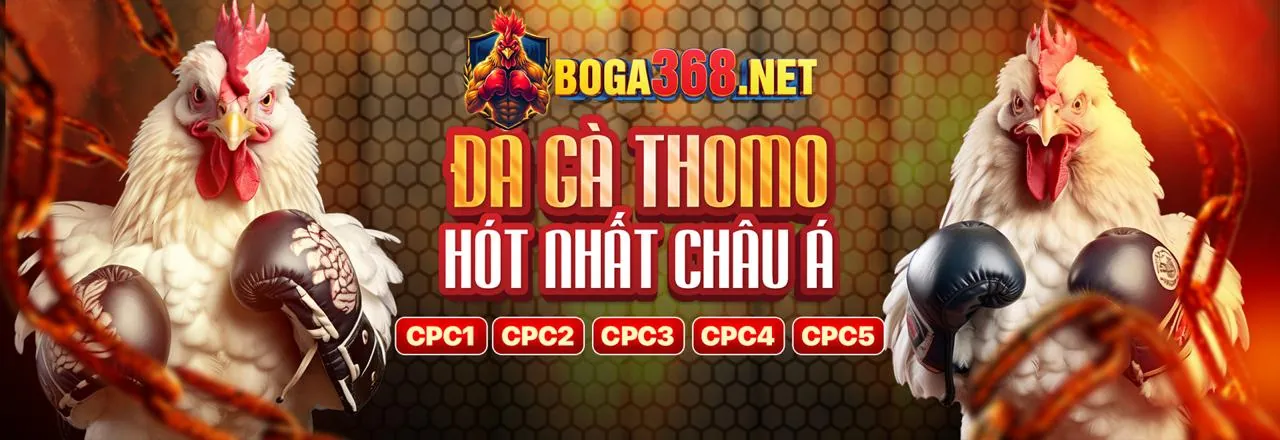 Tải ứng dụng C54 và nhận ưu đãi độc quyền