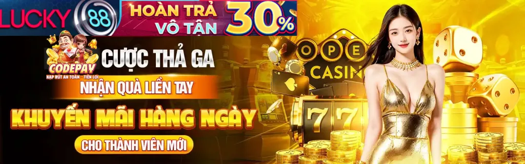 Cam kết An toàn và Công bằng C54
